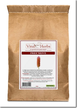  locomotion du cheval, souplesse articulaire et musculaire