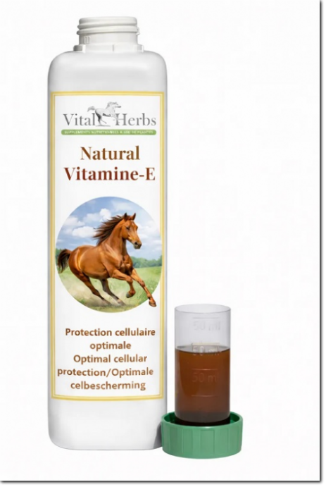protection cellulaire optimale et biodisponibilité élevée-Fonction musculaire