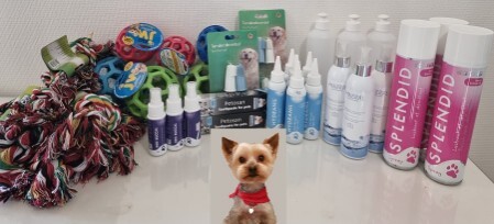 accessoires et produis chiens